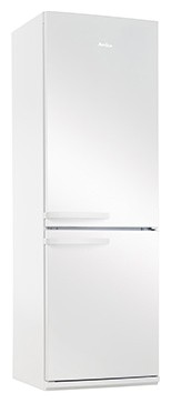 Refrigerator Amica FK328.3AA larawan, katangian