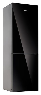 Refrigerator Amica FK338.6GBAA larawan, katangian
