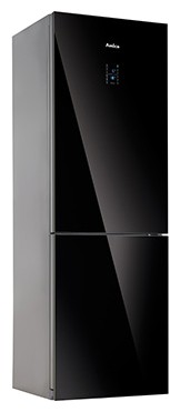 Buzdolabı Amica FK338.6GBDZAA fotoğraf, özellikleri