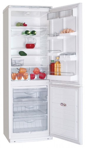 Refrigerator ATLANT ХМ 6019-000 larawan, katangian