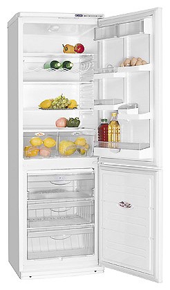 Refrigerator ATLANT ХМ 6021-015 larawan, katangian