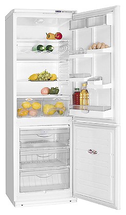 Refrigerator ATLANT ХМ 6021-034 larawan, katangian