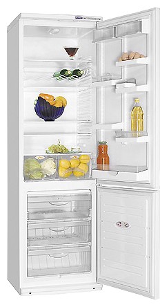 Refrigerator ATLANT ХМ 6024-000 larawan, katangian