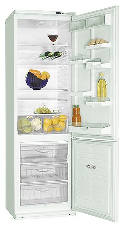 Buzdolabı ATLANT ХМ 6024-052 fotoğraf, özellikleri
