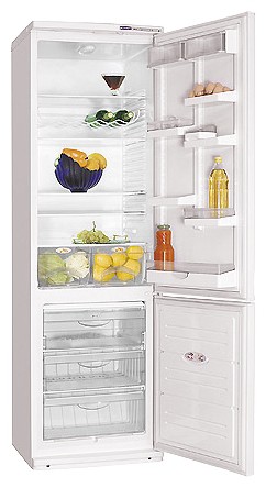 Refrigerator ATLANT ХМ 6024-053 larawan, katangian