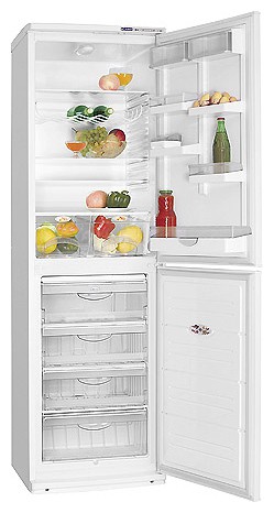 Refrigerator ATLANT ХМ 6025-015 larawan, katangian