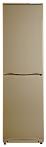 Tủ lạnh ATLANT ХМ 6025-050 ảnh, đặc điểm