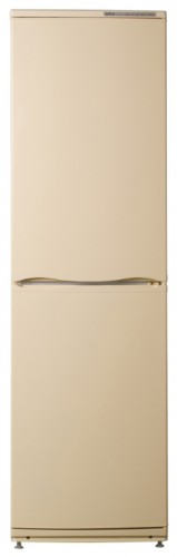 Tủ lạnh ATLANT ХМ 6025-081 ảnh, đặc điểm