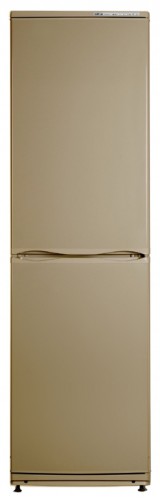 冷蔵庫 ATLANT ХМ 6025-150 写真, 特性