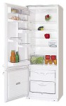 Refrigerator ATLANT МХМ 1816-00 60.00x167.00x63.00 cm