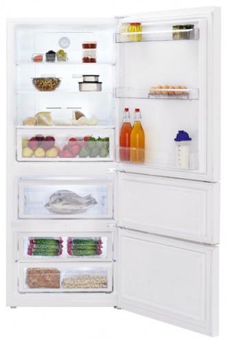 Refrigerator BEKO CN 153920 larawan, katangian
