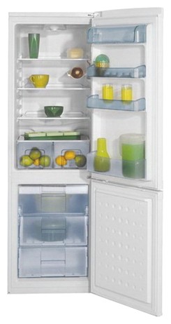Buzdolabı BEKO CSK 31050 fotoğraf, özellikleri