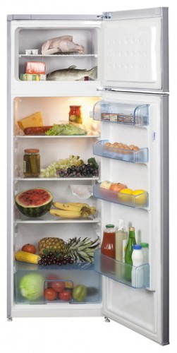 Refrigerator BEKO DS 328000 S larawan, katangian
