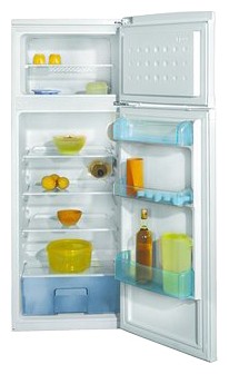 Buzdolabı BEKO DSA 25020 fotoğraf, özellikleri