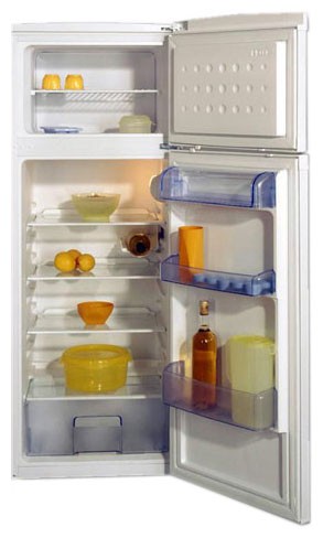 Refrigerator BEKO DSK 251 larawan, katangian