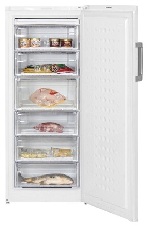 Refrigerator BEKO FS 225320 larawan, katangian