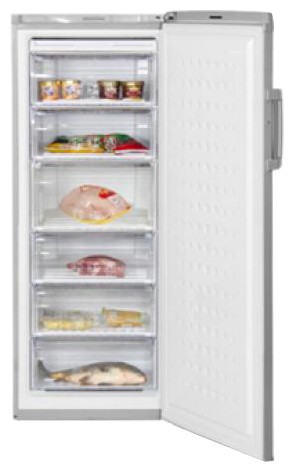 Refrigerator BEKO FS 225320 X larawan, katangian