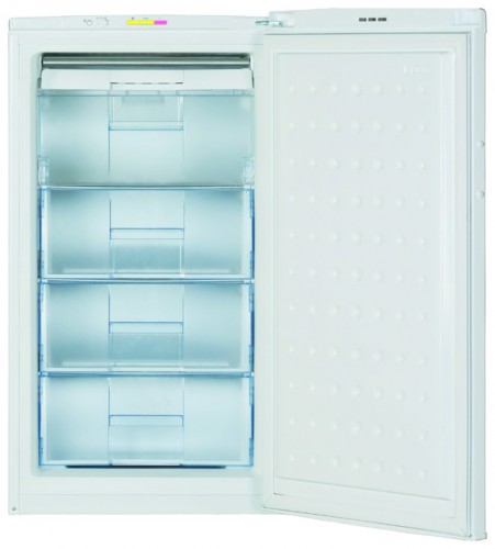 Buzdolabı BEKO FSA 13000 fotoğraf, özellikleri