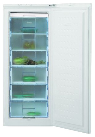 Kjøleskap BEKO FSA 21300 Bilde, kjennetegn