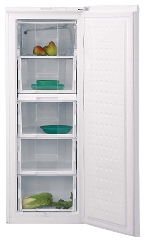 Tủ lạnh BEKO FSE 21906 ảnh, đặc điểm