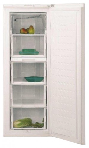 Buzdolabı BEKO FSE 21920 fotoğraf, özellikleri