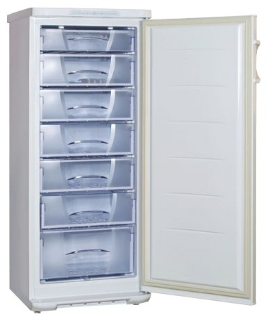 Buzdolabı Бирюса 146 KLEA fotoğraf, özellikleri