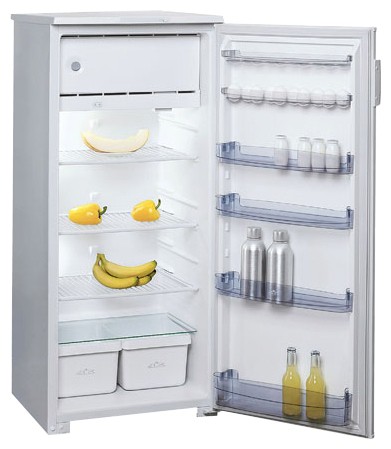 Ψυγείο Бирюса 6 ЕK φωτογραφία, χαρακτηριστικά