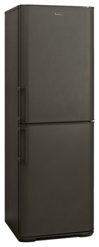 Tủ lạnh Бирюса W125 KLSS ảnh, đặc điểm
