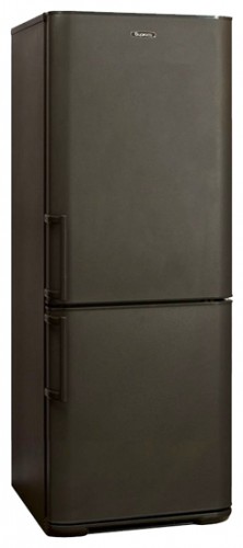 Ψυγείο Бирюса W143 KLS φωτογραφία, χαρακτηριστικά