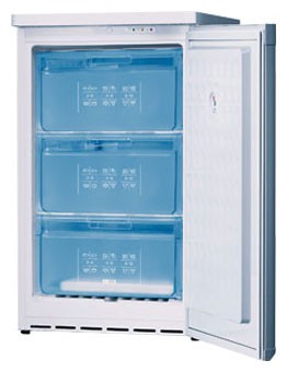 Refrigerator Bosch GSD11122 larawan, katangian