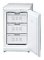 Refrigerator Bosch GSD1343 larawan, katangian