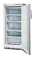 冷蔵庫 Bosch GSE22420 写真, 特性