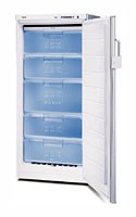 Refrigerator Bosch GSE22421 larawan, katangian