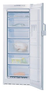 Buzdolabı Bosch GSN24V21 fotoğraf, özellikleri