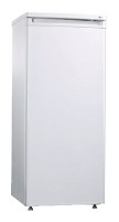 Refrigerator Delfa DMF-125 larawan, katangian