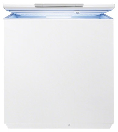 Ψυγείο Electrolux EC 2201 AOW φωτογραφία, χαρακτηριστικά