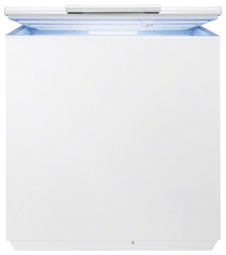 Refrigerator Electrolux EC 2231 AOW larawan, katangian