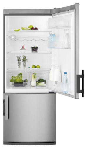 Ψυγείο Electrolux EN 2900 ADX φωτογραφία, χαρακτηριστικά