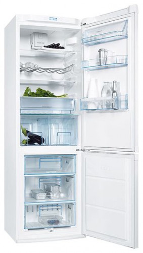 Tủ lạnh Electrolux ERA 36633 W ảnh, đặc điểm