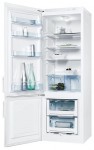 Refrigerator Electrolux ERB 23010 W 54.00x160.00x60.00 cm