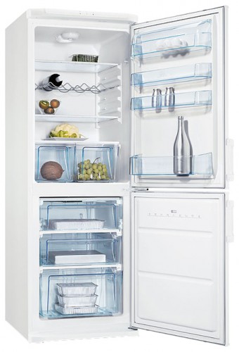 Refrigerator Electrolux ERB 30090 W larawan, katangian