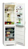 Tủ lạnh Electrolux ERB 3103 ảnh, đặc điểm