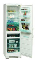 Refrigerator Electrolux ERB 3109 larawan, katangian