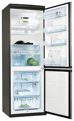 Buzdolabı Electrolux ERB 34033 X fotoğraf, özellikleri