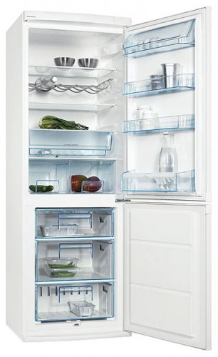 Refrigerator Electrolux ERB 34233 W larawan, katangian