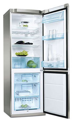 Refrigerator Electrolux ERB 34301 X larawan, katangian