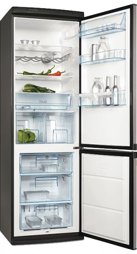 Refrigerator Electrolux ERB 36033 X larawan, katangian