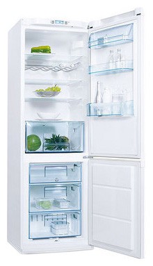 Buzdolabı Electrolux ERB 36402 W fotoğraf, özellikleri