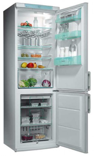 Refrigerator Electrolux ERB 3651 larawan, katangian