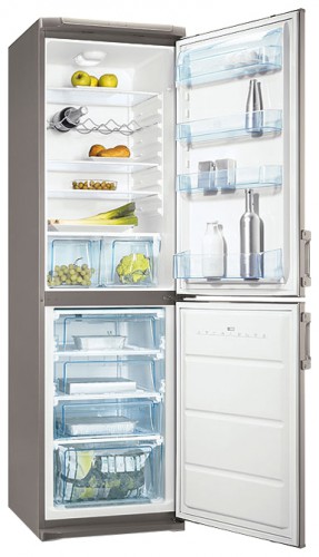 Refrigerator Electrolux ERB 37090 X larawan, katangian